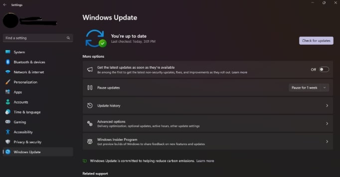 Check for Update