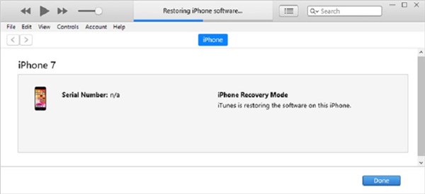 The Restoration Process Completed