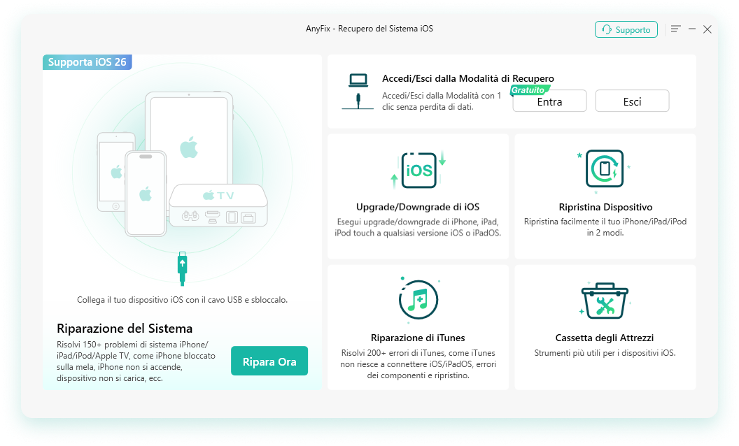 pagina del sito Web con articoli