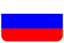 Russian Federation flag