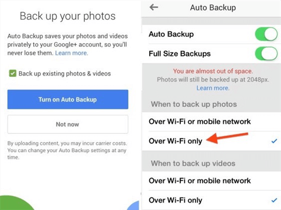 Back-Up Photos to Dropbox or Google +