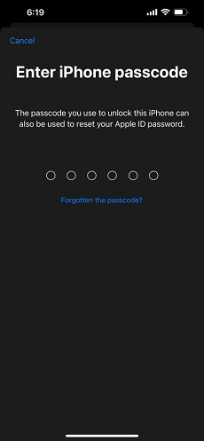 Click Forgot Passcode