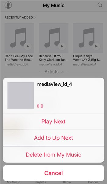 Delete Unwanted Songs
