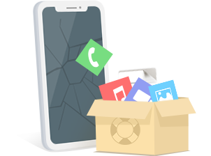 Box mit Telefon darin
