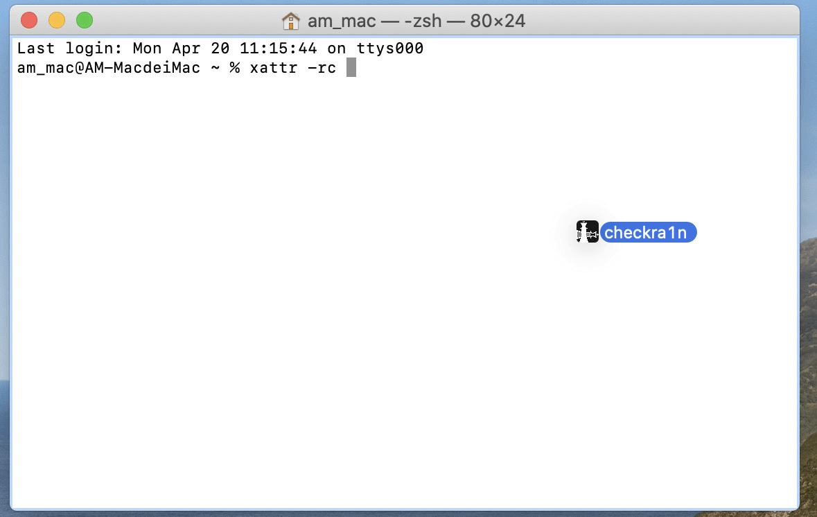 Drag Checkra1n to The Command Window