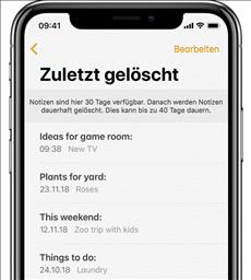 iphone-notizen-zuletzt-geloescht