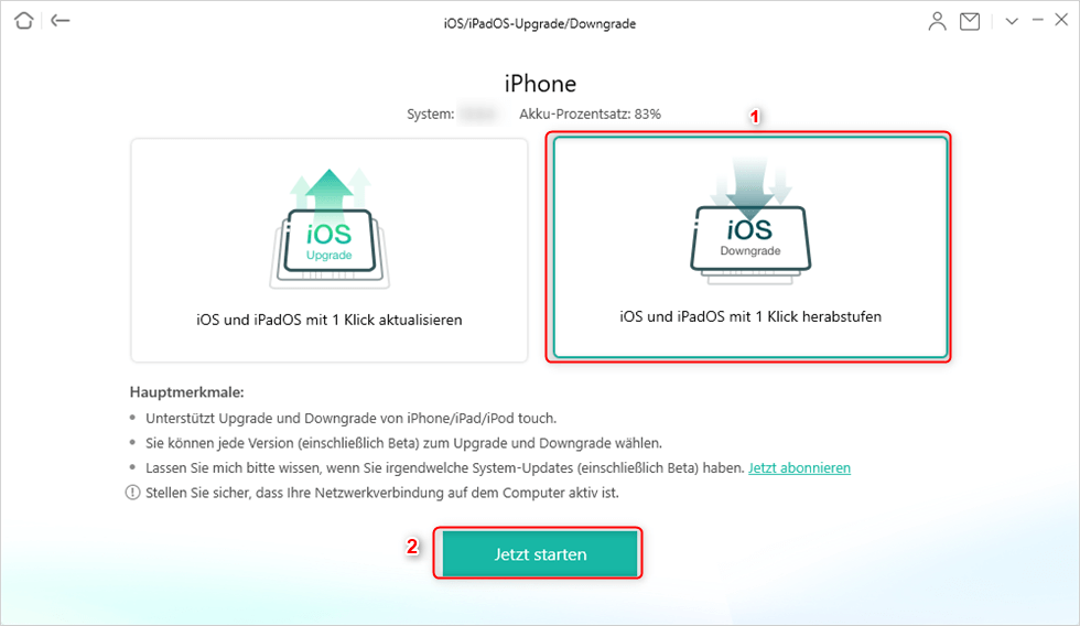 iPhone Update rückgängig machen