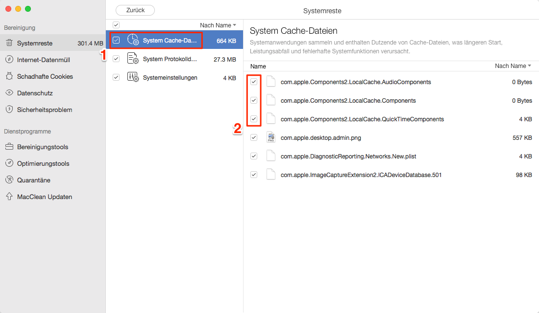 Details überprüfen – Mac OS schneller machen