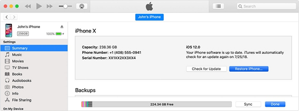  select Restore iPhone on the subsequent interface